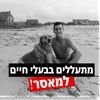 Golan